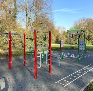 An outdoor fitness park surrounded by trees features various exercise stations with equipment like bars and rings. The area is bordered by lush green grass and there are tall trees with autumn-colored leaves in the background. The sky is clear and blue, creating a serene environment ideal for workouts.